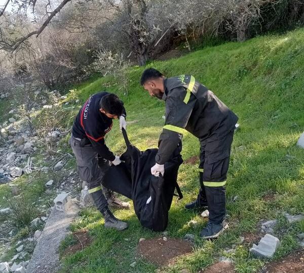 انتشال جثامين وأشلاء خمسة شهداء من بلدة دير ميماس.