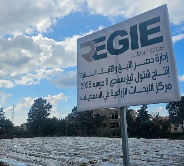 “الريجي” توزع شتولاً على مزارعي الجنوب وخصوصاً القرى الأمامية