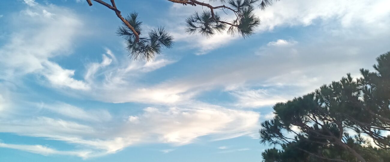 بتخنيه تعلن أول “حمى وقفية” في لبنان ضمن جهود حماية البيئة والتنمية المستدامة