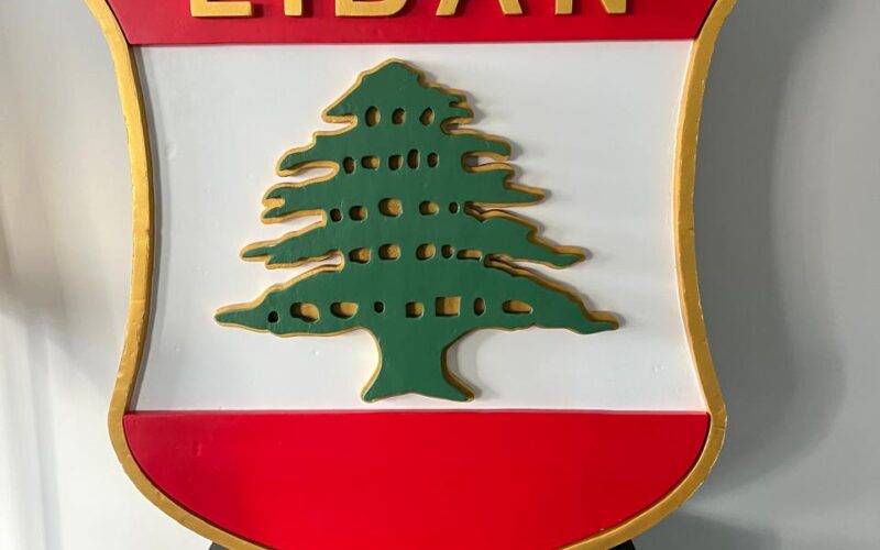 الإتحادات الرياضية هيئات مستقلّة ولم تمنح بيراقداريان التدخل السافر في الإنتخابات الأولمبية