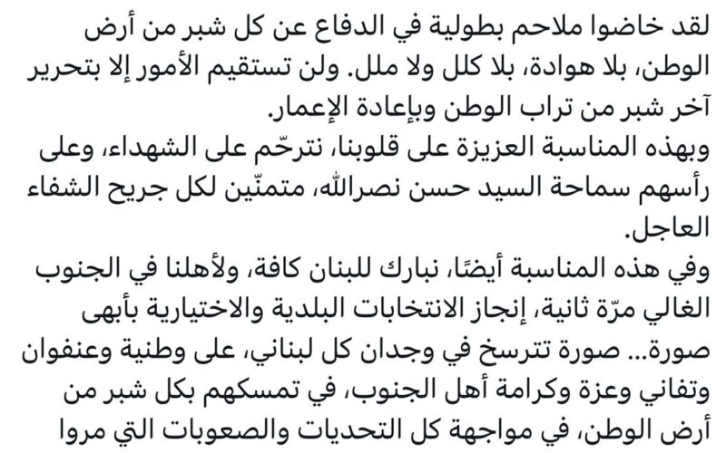 أرسلان: لن تستقيم الأمور إلا بتحرير آخر شبر من تراب الوطن وبإعادة الإعمار