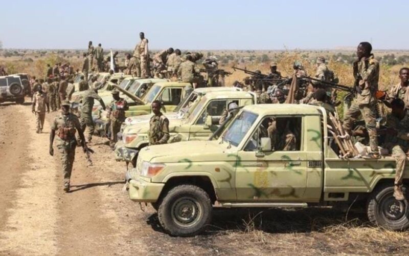 الفرقة 22 مشاة بابنوسة تُعلن تصديها لهجوم من قوات الدعم السريع وتكبيدها خسائر فادحة